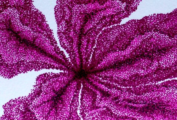 j. ru all rights reserved 2013