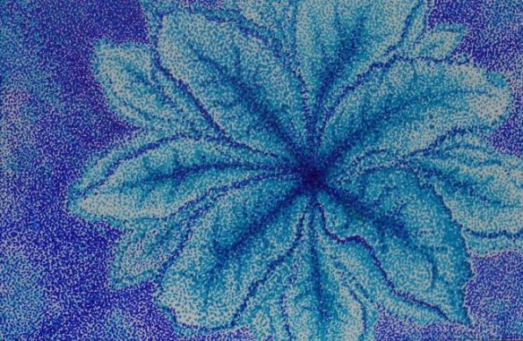 2013, Prints Available, All Rights Reserved