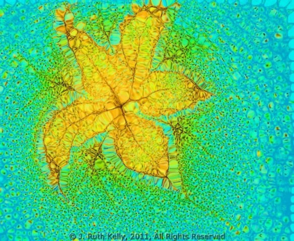 j. ruth kelly, all rights reserved